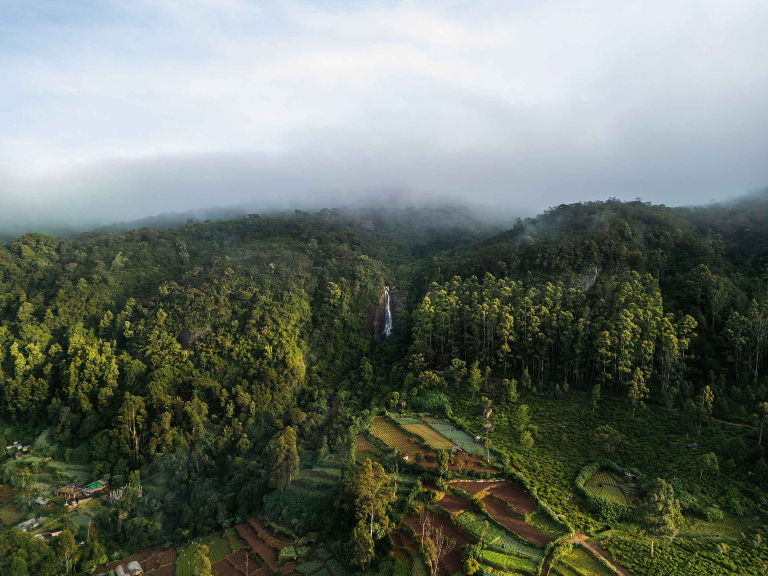 Drone,Panorama,Of,Lovers,Leap,Waterfall,Surrounded,By,Misty,Forests